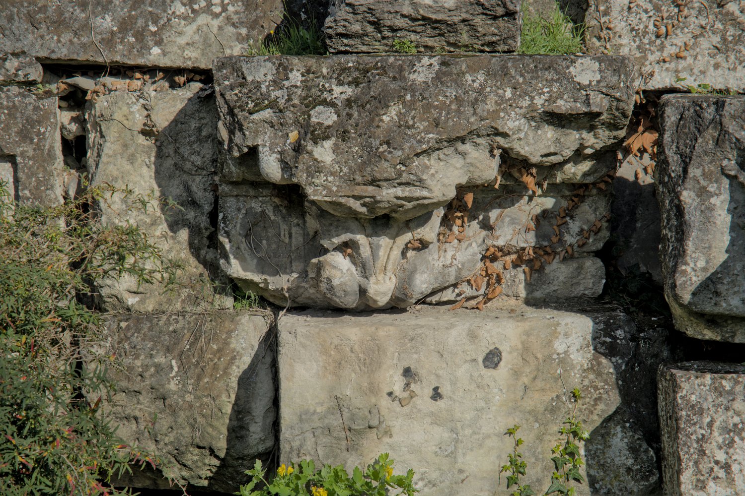 Rempart (détail)